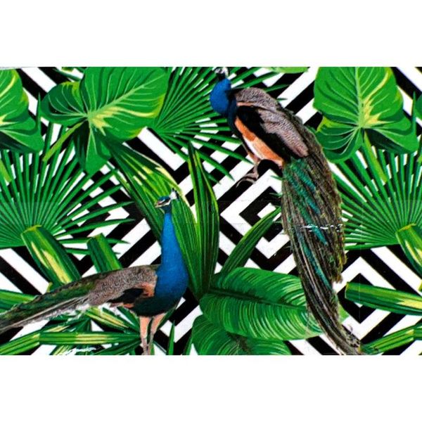 Hire TROPICAL LEAVES PEACOCK 1 Backdrop Hire 2.1mW x 2.25mH